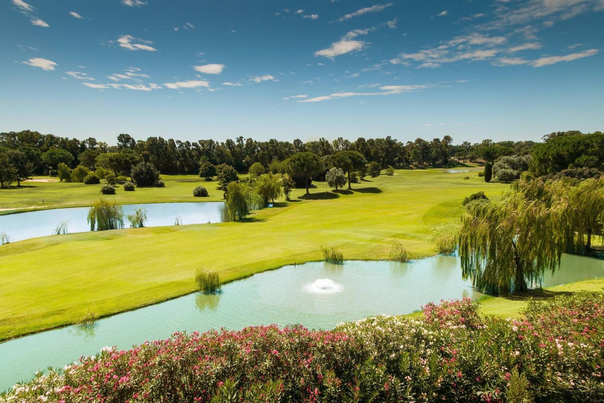 Sheraton Rome Parco De Medici Екстер'єр фото